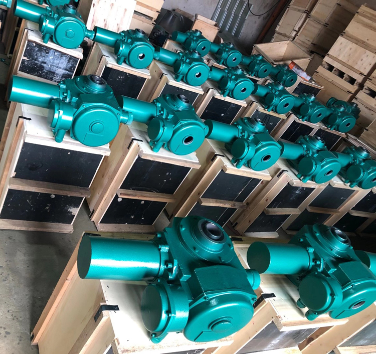 Electric Actuator Hoist /Motorized Gate Operator